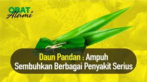 Infeksi pada tenggorokan dapat menular ke orang lain melalui percikan bersin dan batuk. Alami Atasi Sakit Tenggorokan Dan Batuk Pilek Paling Efektif Hidup Sehat Lifestyleone Youtube