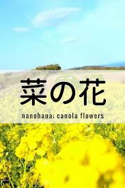 One Kanji A Day菜の花nanohana Canola Flowers