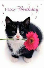 Auguri Di Buon Compleanno In Inglese Buongiorno Immagini It Buon Compleanno Foto Auguri Di Buon Compleanno Buon Compleanno