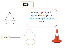 koninin kac yuzu vardir koninin kac ayriti vardir bilgifili ogretmen klasoru ogretmenler egitim