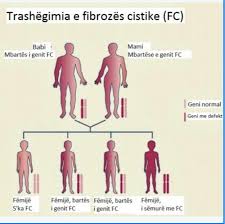 The latest tweets from mukoviszidose e.v. Mukoviszidose Cystische Fibrose Fibroz Cistike Kosovo Albanien Photos Facebook