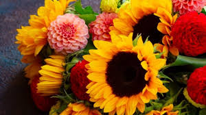 Come inviare fiori di compleanno a domicilio? Fiori Per Compleanno Quale Regalare Init On Line