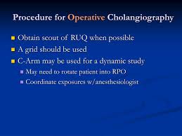 Ppt Digestive System Liver And Biliary Tract Powerpoint Presentation Id 2769338