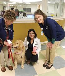 The Nashville Graphic