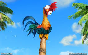 Heihei Is The World S Dumbest Chicken Moana S Chicken Wallpaper Moana Disney Moana Moana Chicken
