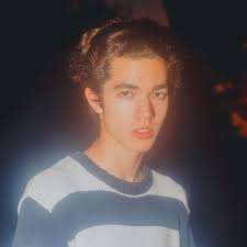 Conan Gray On Spotify Pinterest Roslyng05 Conan Gray Aesthetic Conan Gray Gray Aesthetic
