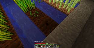 After that, fill the holes with water and plant the seeds. Mc 914 Cannot Place Seeds Carrots Potatoes In Low Light Levels Jira