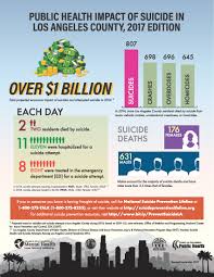 La County Public Health Chronic Disease Injury Prevention