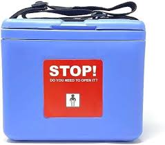Amazon.com: FAIRBIZPS Mini Vaccine Carrier Box with 2 Ice ...