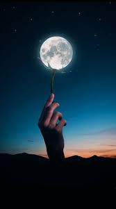 Check spelling or type a new query. Moon Aesthetic Bonito Flower Lonely Moon Night Night Sky Sad Space Hd Mobile Wallpaper Peakpx