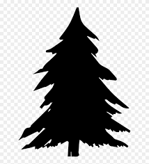 Download Pine Trees Silhouette Png Black Christmas Tree Clipart Transparent Png 1000x1000 287836 Pngfind