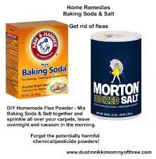 Dustinnikki Mommy Of Three Flea Powder Flea Remedies Dog Flea Remedies