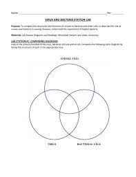 Place the organelles into the venn diagram. Virus And Bacteria Station Lab