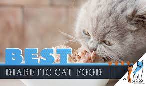 8 Best Diabetic Cat Foods Our 2021 Guide To Feeding A Diabetic Cat Diabetic Cat Food Diabetes Cat Cats