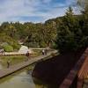 Der neue botanische garten in barcelona ist nicht nur die neuere anlage, er hat auch ein etwas anderes konzept als sein historischer vorgänger. 3