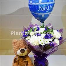 It is a free printable game that tests your guests' knowledge of famous bears, how many do you know? Baby Boy Purple Haze Bouquet Large Teddy Baby Balloon Plantwise