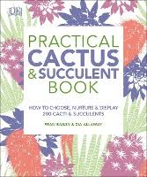 Learn how to care for them and keep your plants alive and thriving. Practical Cactus And Succulent Book The Definitive Guide To Choosing Displaying And Caring For More Than 200 Cacti Bailey Fran Allaway Zia Dussmann Das Kulturkaufhaus