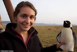 Mumbles the penguin travels the world with solider, who sends heart-warming  pictures to girlfriend at home