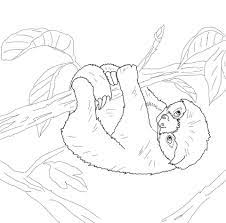 coloriage bebe paresseux coloriages a imprimer gratuits skylanders hot head
