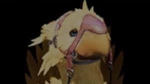 After you get 200 seals, purchase a chocobo issuance from your grand company quartermaster. Chocobo Search Final Fantasy 7 Remake Wiki
