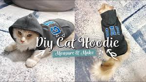 DIY Cat Hoodie | Measure and Make