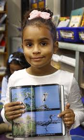 Weymouth students dive into STEM