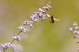 2022 The Year in Photos