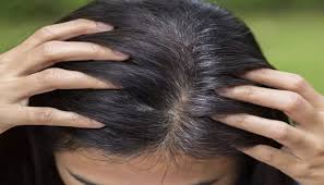 As your hair follicles age, they produce less color. No More Premature Greying This Diy Hair Mask Is All You Need To Deal With Grey Hair