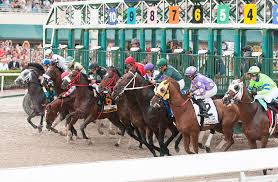 Gulfstream Park Rainbow Pick 6 Mandatory Payout Picks For January 9 Horseracing Net