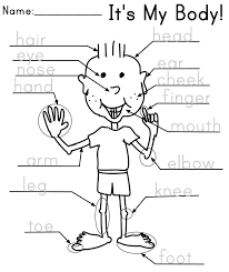This parts of the body tracing worksheet will take their learning to the next level. Parts Of The Body Kindergarten English Body Preschool Kindergarten Activities