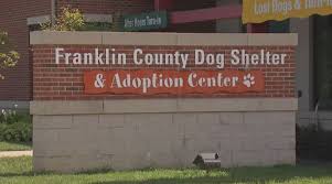 We operate a dog adoption program and match dogs to their forever home. Ohio Animal Shelter Recovers Dozens Of Stray Runaway Dogs Over 4th Of July Weekend Wowk 13 News
