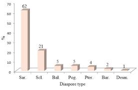 Image result for Thomandersia butayei