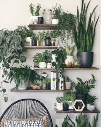 Preview — budget planner by simple cactus planners. Natur Pur Look Prefect Wird Der Urban Garden Style Mit Viele Naturmaterialen Grunpflanzen Passe Dazu Naturlich Per Boho Master Bedroom Home Decor Plant Decor