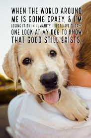 Dogs Reduce Stress Dog Quotes Inspirational Dog Quotes Funny Dog Quotes