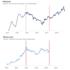 We publish all btc/usd (bitcoin / us dollar) fractal forex analysis in this section. Paul Tudor Jones Bitcoin Fractal Hints At Possible Explosive Btc Rally