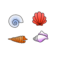 Check spelling or type a new query. How To Draw A Seashell Step By Step Easy Drawing Guides Drawing Howtos