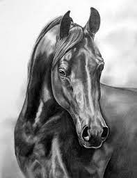 Pin On Drawings