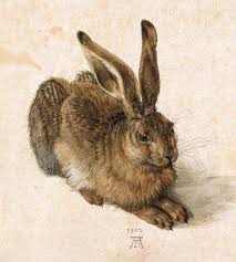 The following 89 files are in this category, out of 89 total. Animals In Art Albrecht Durer