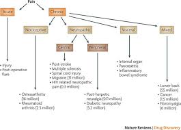 This video explains the internal organs of human body. Pain Market Nature Reviews Drug Discovery