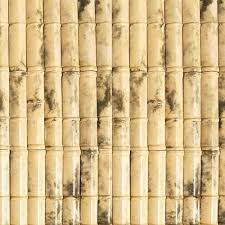 Overview about the ceramic wall tiles. Casuarina Wall Tiles In Chennai Tamil Nadu India Aspire Designer Tiles Private Limited Wall Tiles Tile Design Tiles Design