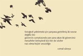 Cemal Sureya Kitap Alintilari Edebiyat Siir