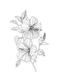 Flowers Drawing Hibiscus Flower Print Drawing Of A Hibiscus Flower A3 A4 A5 Digital Art Print Flower Line Drawings Hibiscus Flower Drawing Flower Drawing