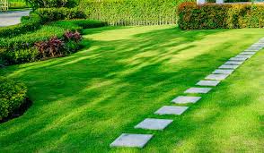 Letting your grass grow too long can encourage unsightly diseases as well. Home Lawn Care Services In St Paul Mn Residential Lawn Mowing