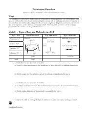 To directly answer your question, then, the reason that frequencies should stay constant is that you. Biological Classification Pogil Extension Questions Answers Biological Classification Pogil