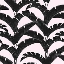 Banana leaf wallpaper this is a topic that many people are looking for. Premium Vector Black White Banana Leaves Light Rose Seamless Pattern Wallpaper
