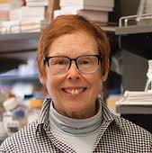 Cancer Vaccine Institute Team