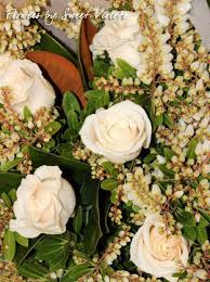 We did not find results for: Sydney Florist And Wedding Flowers Grace S Sweet Violets Turramarra Flowers And Indoor Plants For Weddings Businesses And All Occasions Flowers