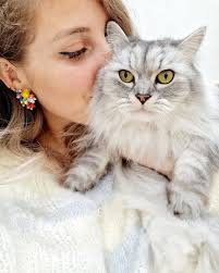 Bless US ALL....four or less legs!