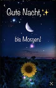 Pin Von Christa Hundt Auf Nacht Grusse In 2020 Gute Nacht Gute Nacht Grusse Schlaf Schon Gute Nacht