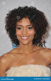 331 Annie Awards Stock Photos